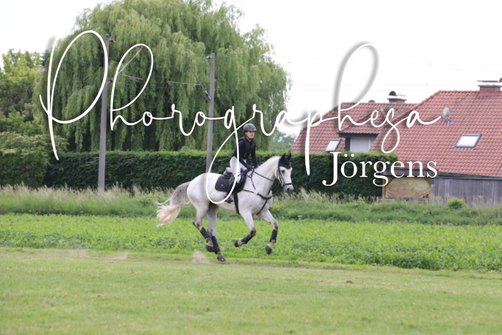 IMG_9388 | photographesa-joergens - Realisiert mit Pictrs.com