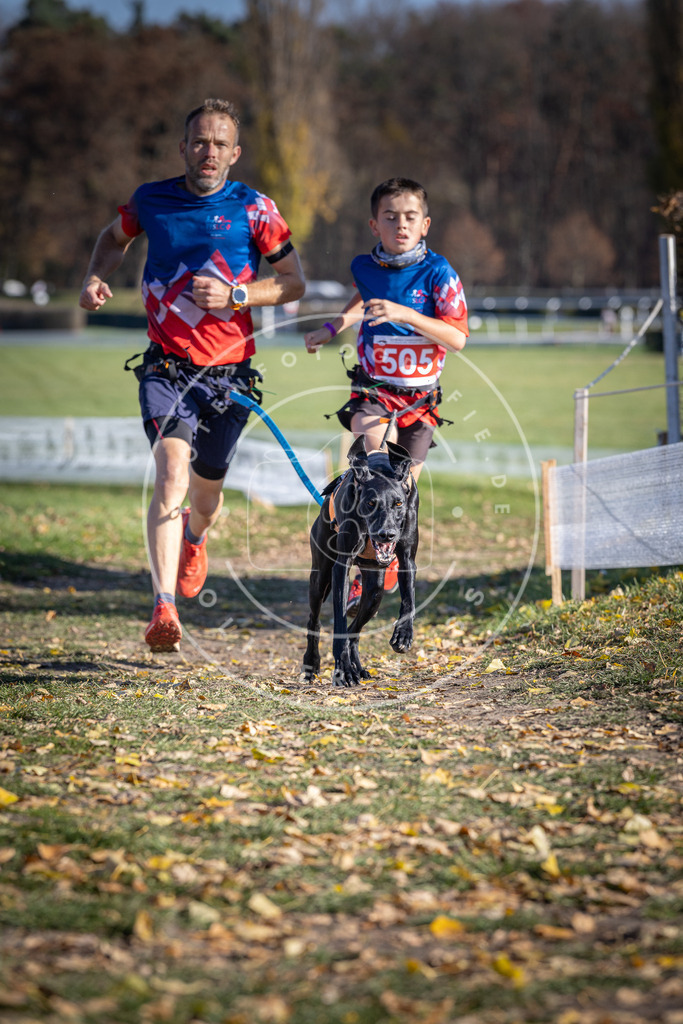 CaniXpix_DV3A7874 | Hundefotografie, Tierfotograf, Pfotenfotografie, Fotoshooting Hund, Hunde Portrait, Hundesport, Hundeportraits, Heideshooting, Hunde, Sportfotograf, Hundefotograf, Turnierhundsport, THS,  - Realisiert mit Pictrs.com