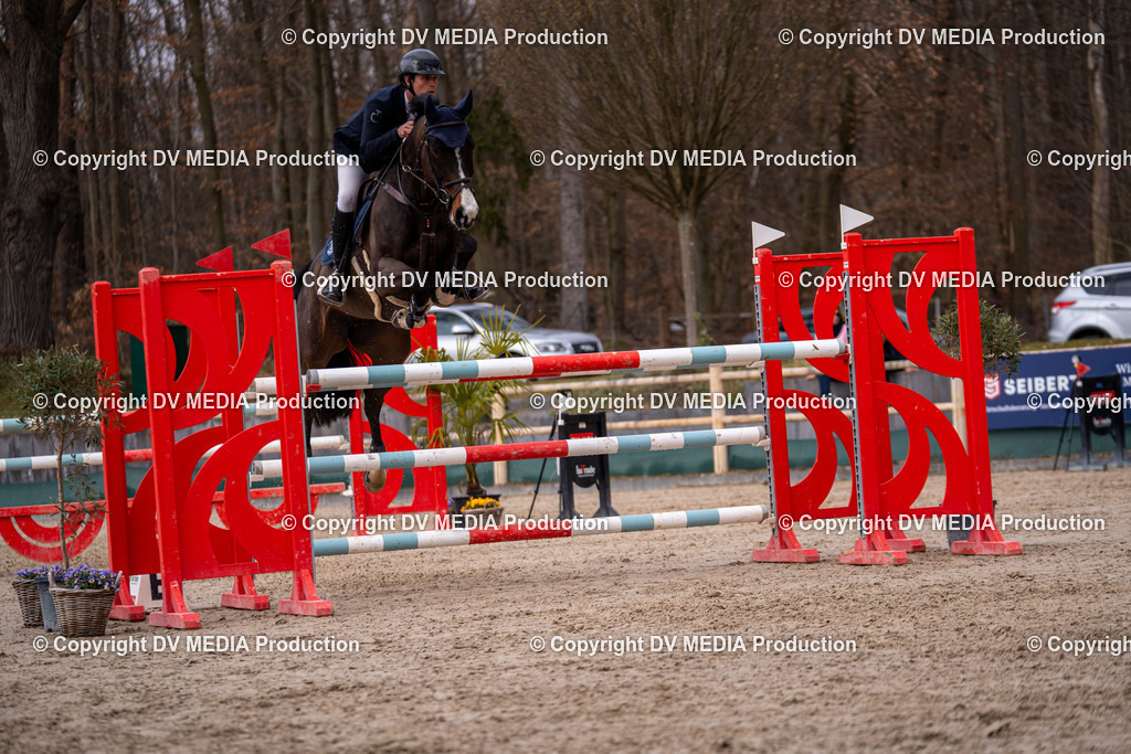 Kranichstein Tag 2-2141 | dv-media-shop - Realisiert mit Pictrs.com