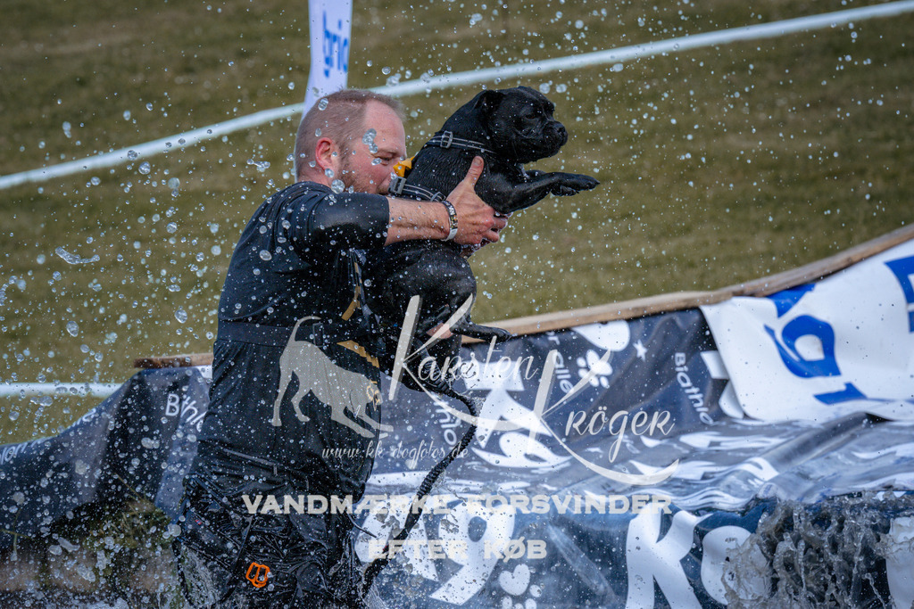 _ZZ922100923 | kk-dogfotos