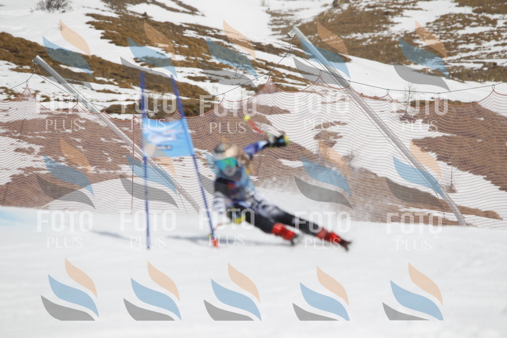 _U3G2454 | holidayphoto