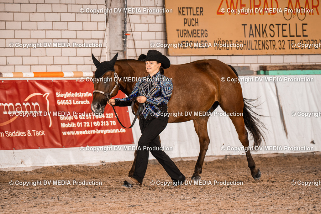 ZH100007 | dv-media-shop - Realisiert mit Pictrs.com