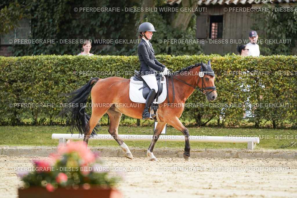 DSC04682 | Pferdegrafie