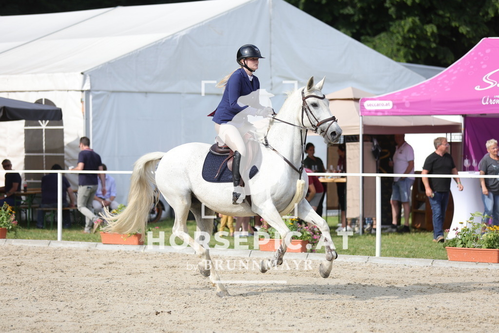 0P6A5932 | Willkommen bei Brunnmayr - Design & Fotografie – Ihrem Spezialisten für Reitturniere und Pferdeveranstaltungen in Oberösterreich, Salzburg und Bayern! Seit über 17 Jahren sind wir leidenschaftlich dabei.
