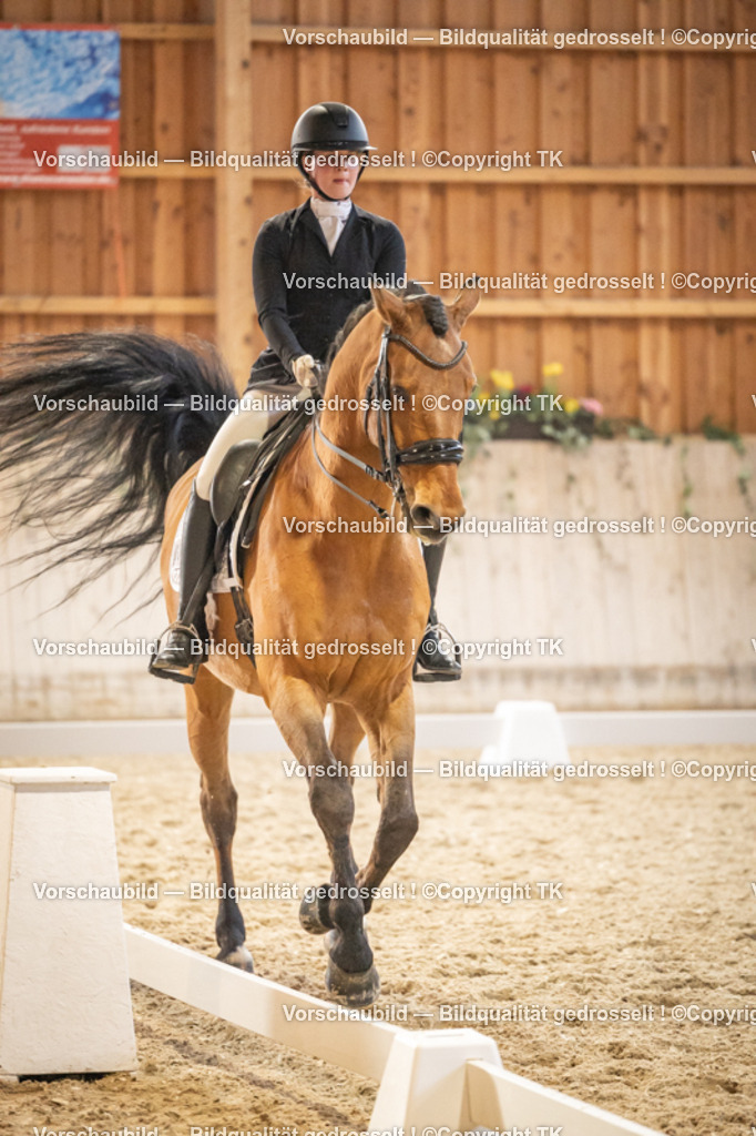 _D5A9822 | Emotionale Pferde- & People-Fotografie rund um Heidelberg, Leimen & Umgebung. Natürliche Fotos von Pferd, Mensch & Familie. Jetzt Termin sichern!