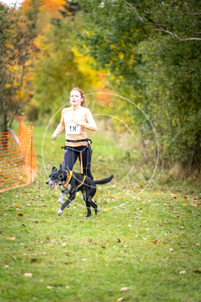 Pfotenfotografie_DV3A1878 | Hundefotografie, Tierfotograf, Pfotenfotografie, Fotoshooting Hund, Hunde Portrait, Hundesport, Hundeportraits, Heideshooting, Hunde, Sportfotograf, Hundefotograf, Turnierhundsport, THS,  - Realisiert mit Pictrs.com