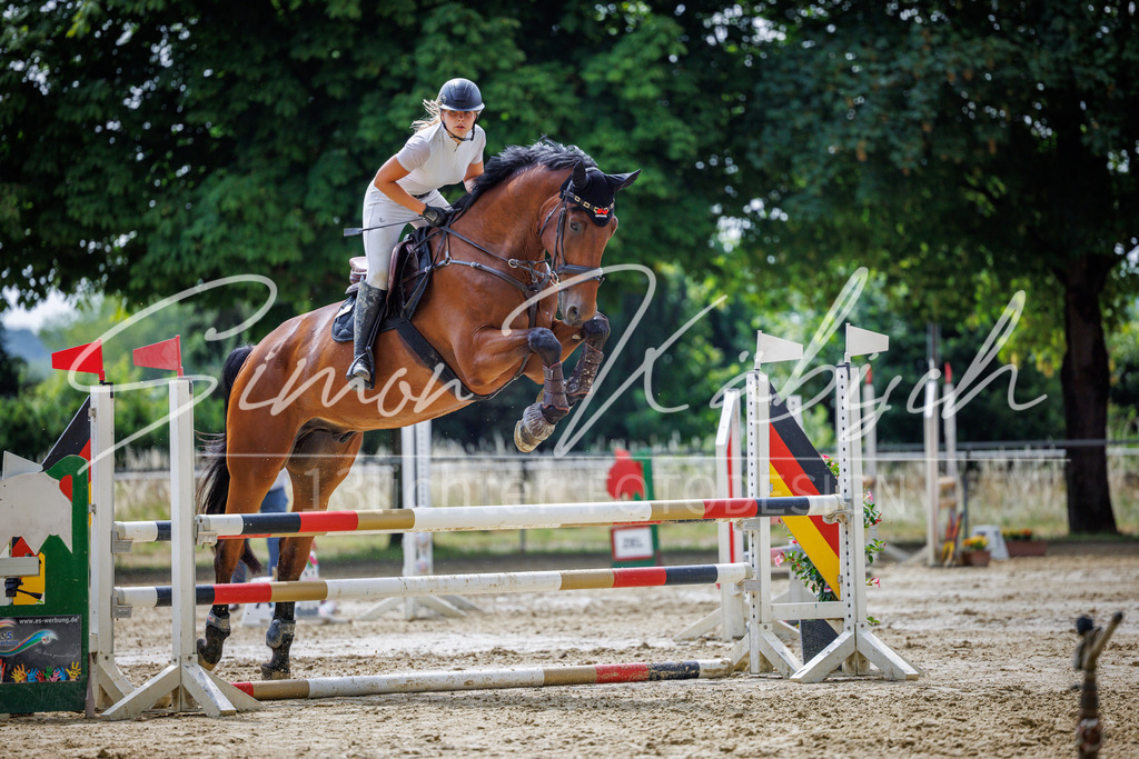 20260705-_3LI4643 | Tierfotografie Pferde, Hunde, Katzen, Haustiere.
Turnierfotografie Reitturniere, Reiten, Springreiten, Dressur in Hanau, dem Main-Kinzig-Kreis und dem Rhein-Main- Gebiet um Frankfurt