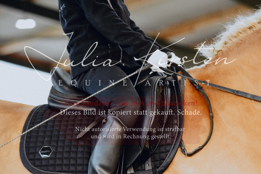 DSC_7353 | Pferde- und Turnierfotografie in Westsachsen. Pferdeportraits, Auftragszeichnungen und intuitive Kunst.
