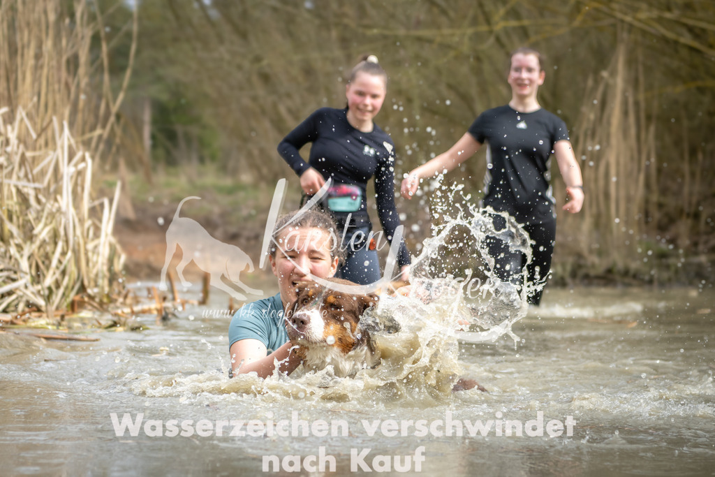 1559_ZZ95217 | kk-dogfotos