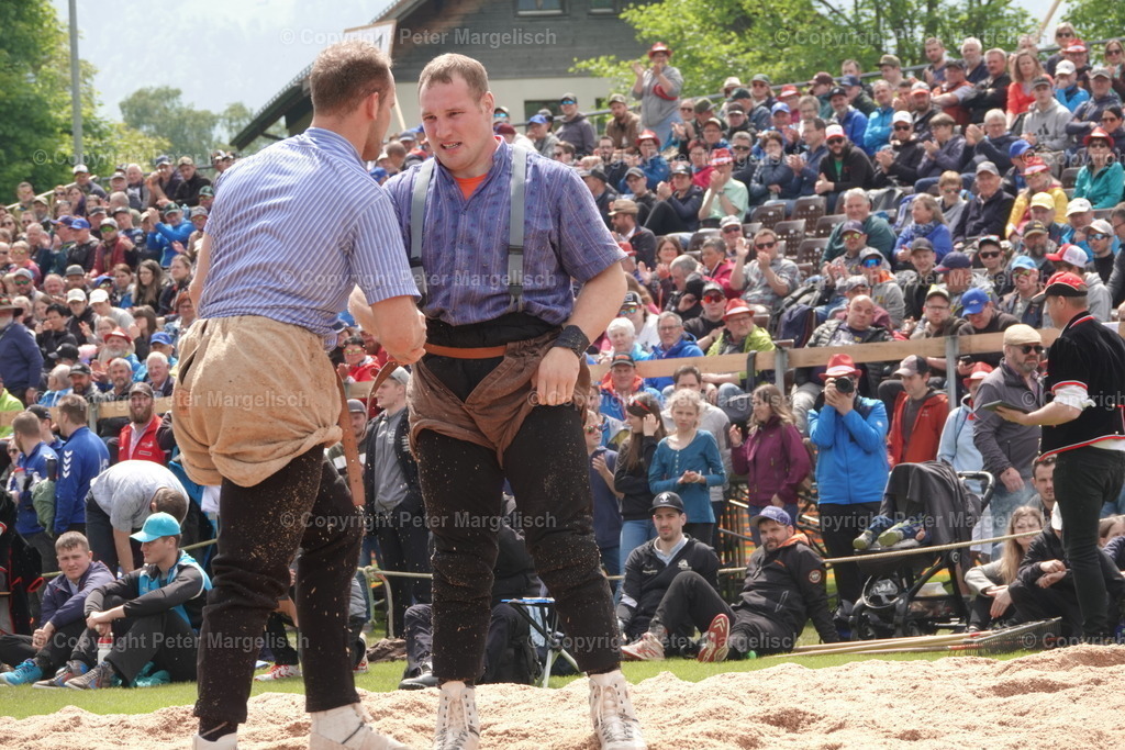 DSC04109 | Schwingen - Realisiert mit Pictrs.com