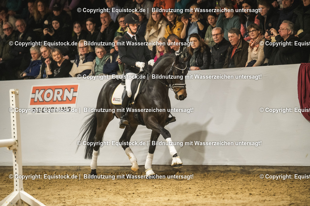 20240302_Hengstvorstellung_Marbach_TOMsPiC_0386-2 | equistock
