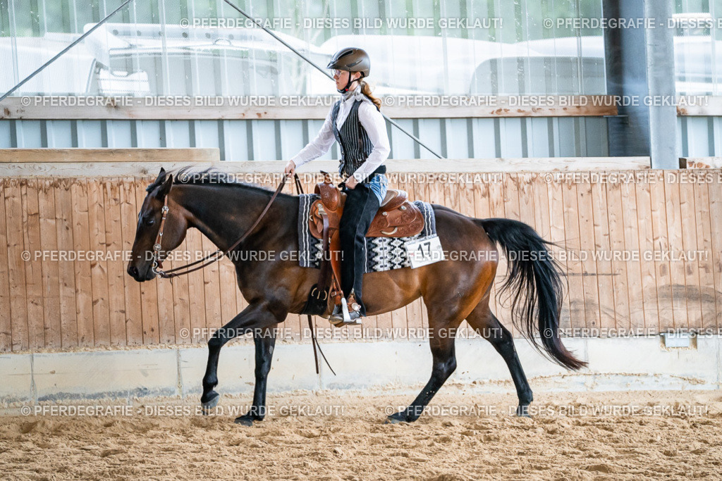 DSC01360 | Pferdegrafie