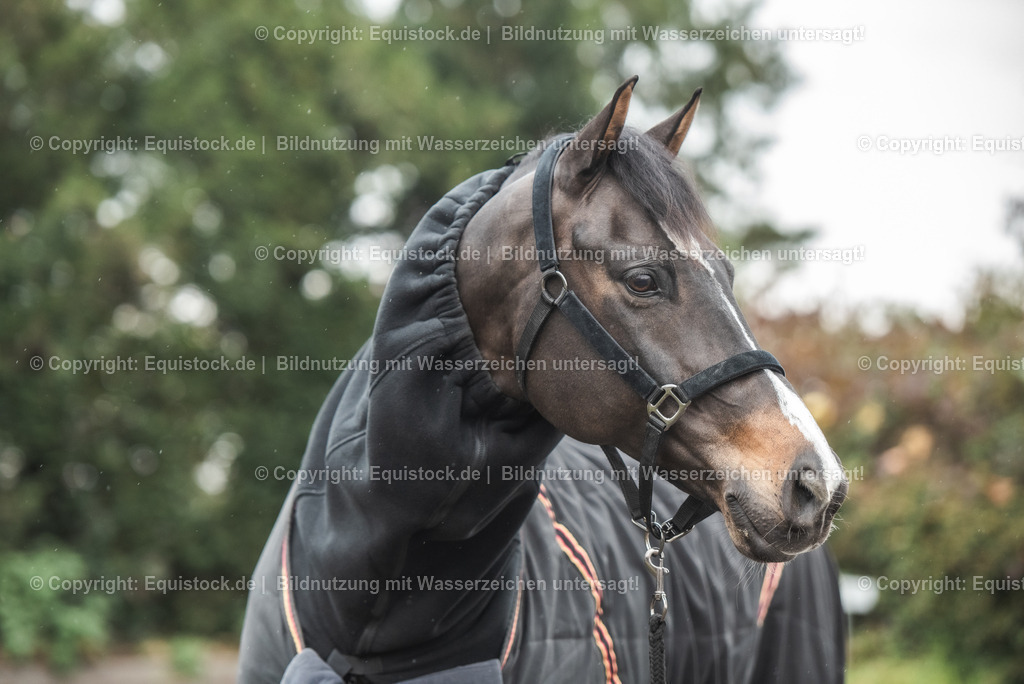20241114_Great-Escape-Camelot_Raphael-Netz_TOMsPiC_0019 | Foto: Thomas Hartig