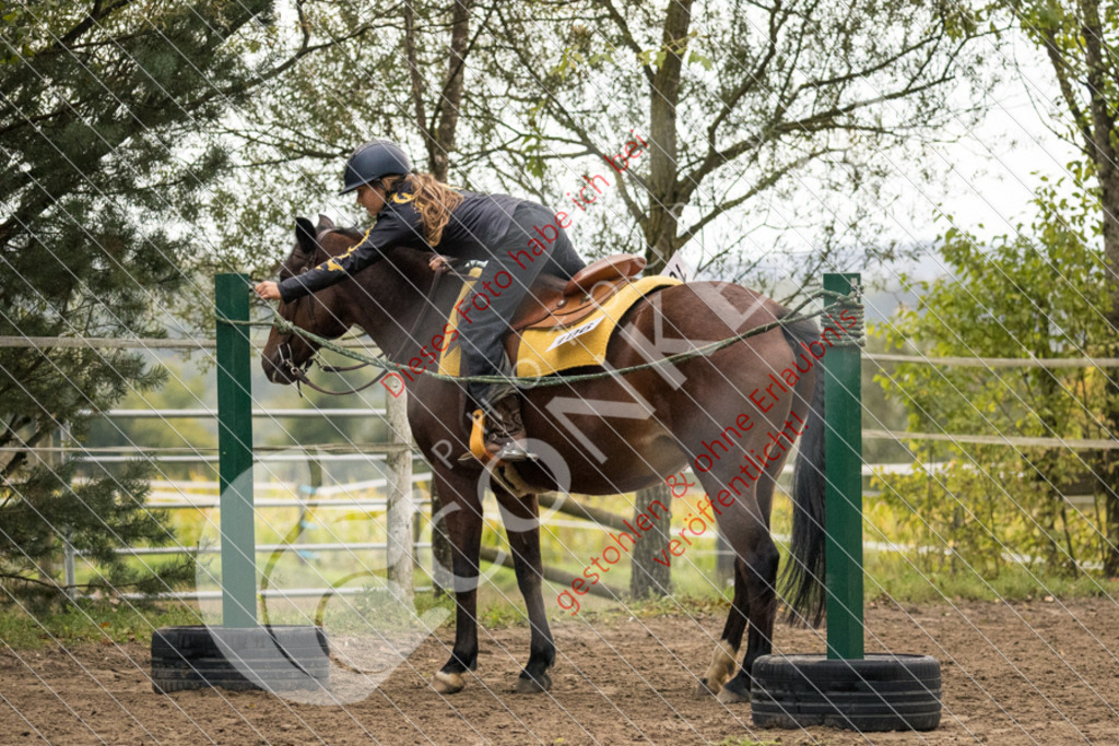 CON_8538 | Sport-, Event- und Tierfotos in Profiqualität. Einfach auswählen, bestellen und herunterladen. Dein Moment – perfekt festgehalten.
