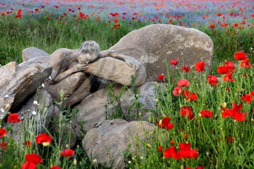 NatureArt-MOHNSTEINE_9856 | Vorne rot und hinten blau | #004 | Modell: Lea | Foto: Sandra Diersche-Schwamm - Realisiert mit Pictrs.com