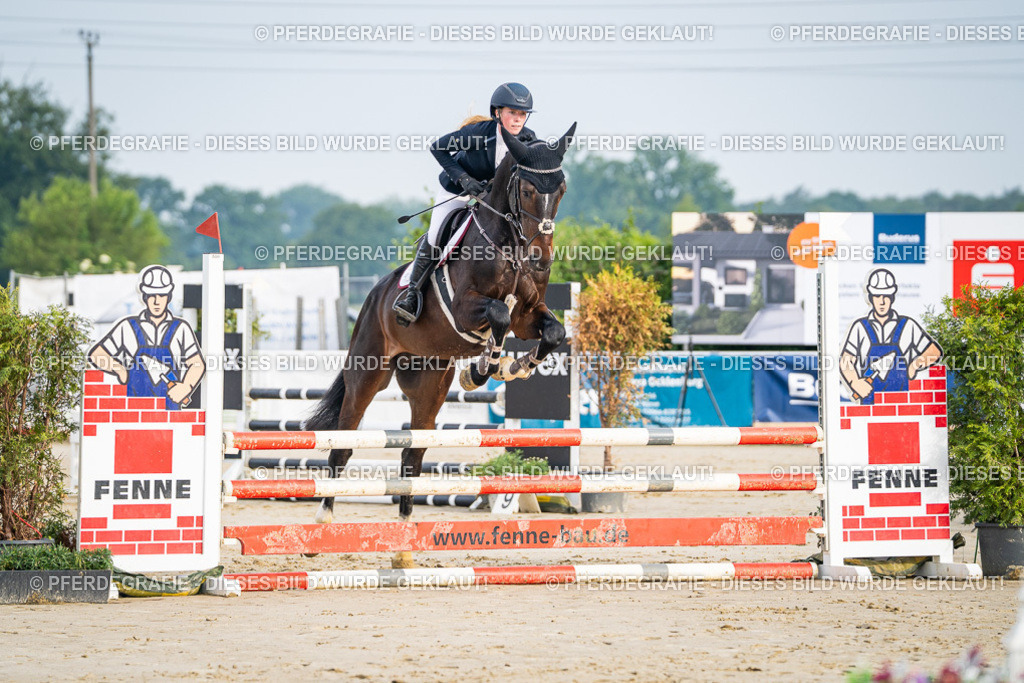 DSC07758 | Pferdegrafie