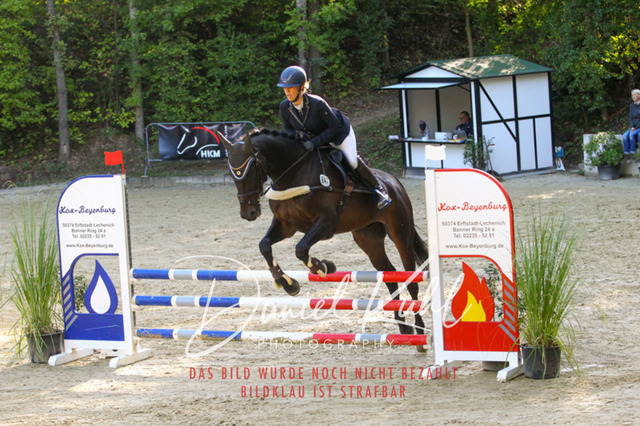 DKP42774 | Turniersportfotografie; Pferdefotografie; Dressurfotografie