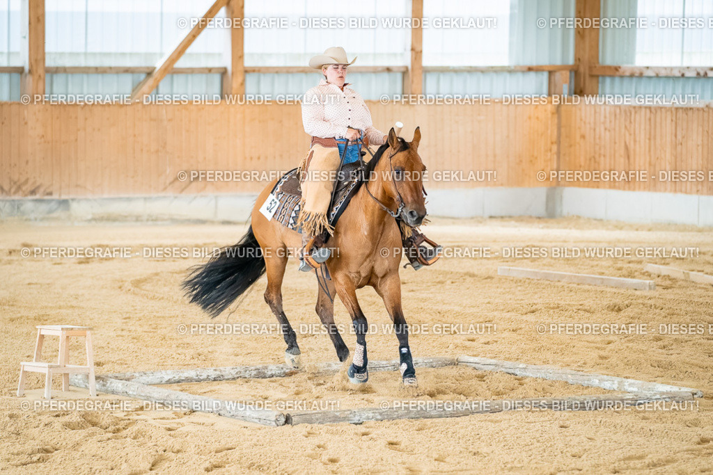 DSC07306 | Pferdegrafie