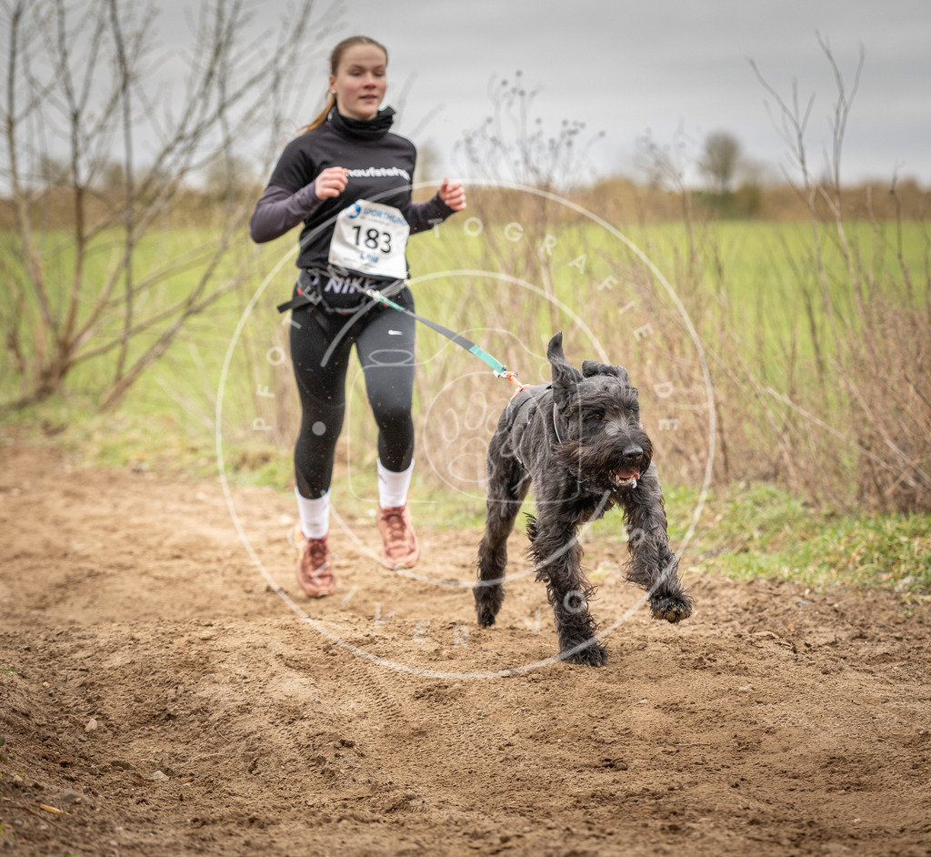 DV3A2132 | Hundefotografie, Tierfotograf, Pfotenfotografie, Fotoshooting Hund, Hunde Portrait, Hundesport, Hundeportraits, Heideshooting, Hunde, Sportfotograf, Hundefotograf, Turnierhundsport, THS,  - Realisiert mit Pictrs.com