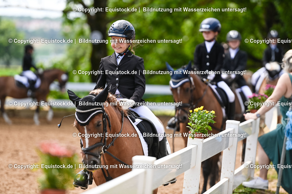 20230716_10-3_Reiter-WB Schritt - Trab - Galopp_0158 | equistock