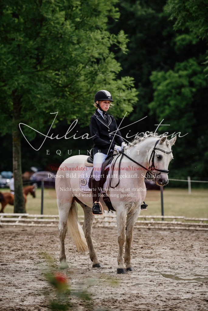 DSC_9424 | Pferde- und Turnierfotografie in Westsachsen. Pferdeportraits, Auftragszeichnungen und intuitive Kunst.
