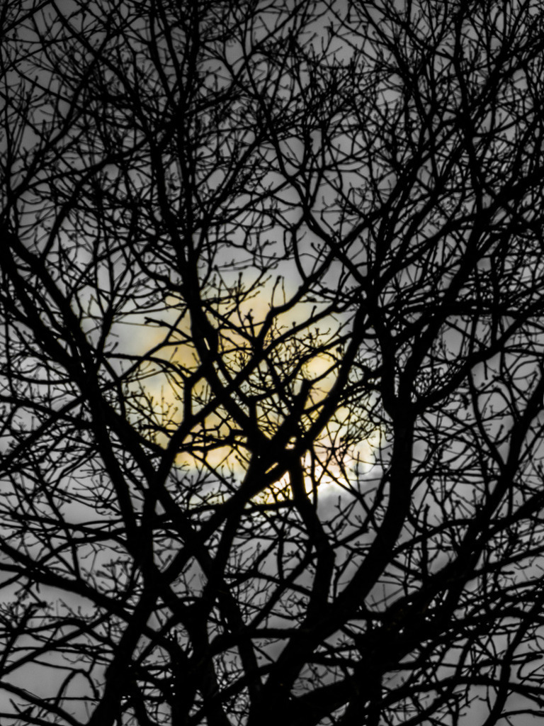 PSX_20230402_223125 | mtkfoto_ - Realisiert mit Pictrs.com