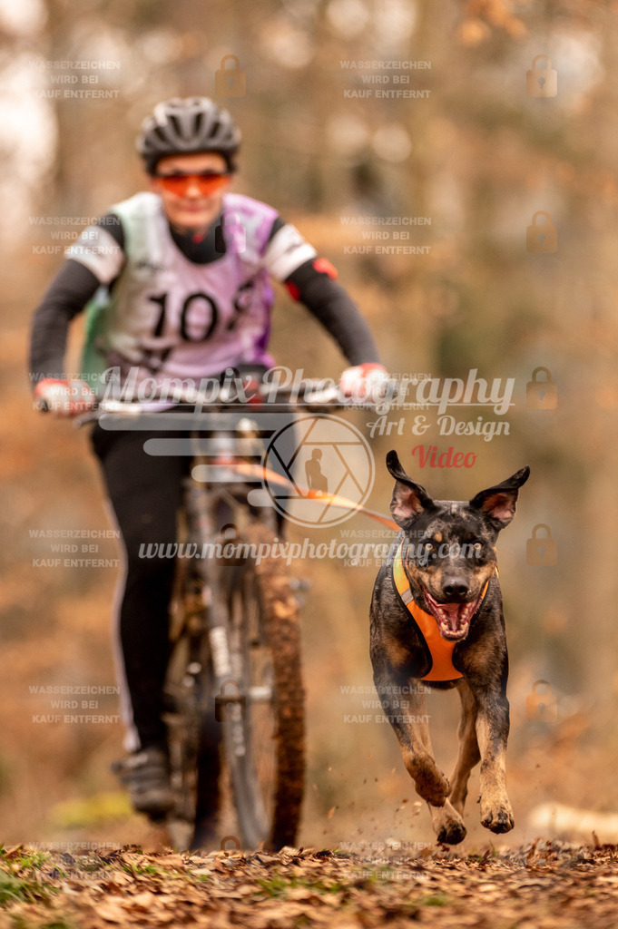 AKM_ST_2023_SAM_Bike-122 | PayLife