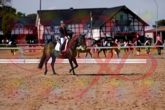 2026_10_03_Siefer-Hof_121407_Z81_15383679 | Professionelle Reitsport-, Turnier- und Eventfotografie von Robert Broda. Galerien mit ausgewählten und bearbeiteten Bildern direkt online ansehen und bestellen.