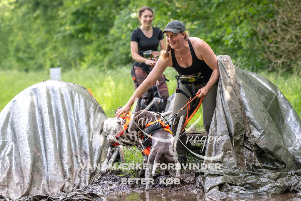 1228_ZZ92463 | kk-dogfotos