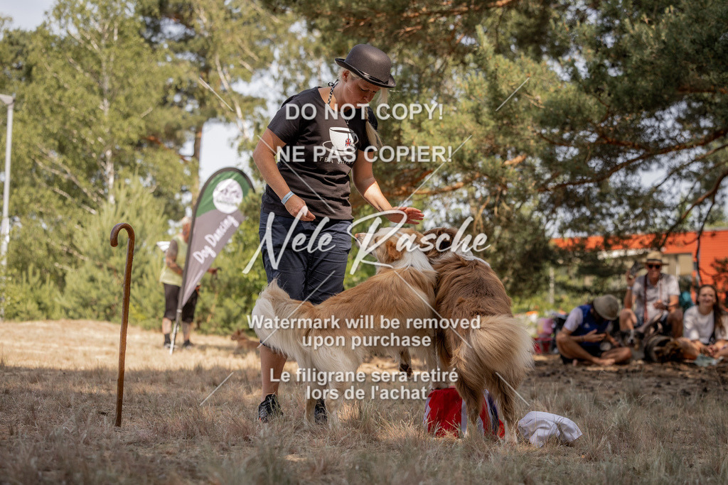 nelerasche_soDD2_123 | nelerasche