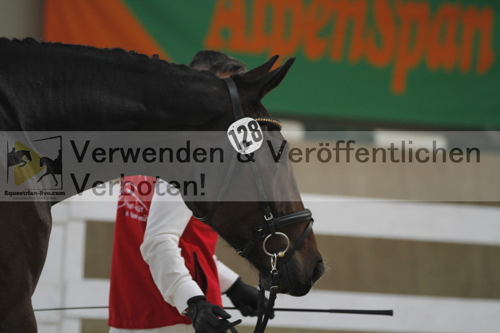 _MG_9796 | equestrian-live-com