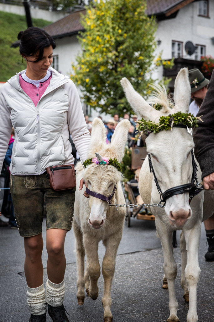 Rupertifest_Flachau_2k25_Webauflösung-324 | Bildershop Chri Fischbacher - Realisiert mit Pictrs.com