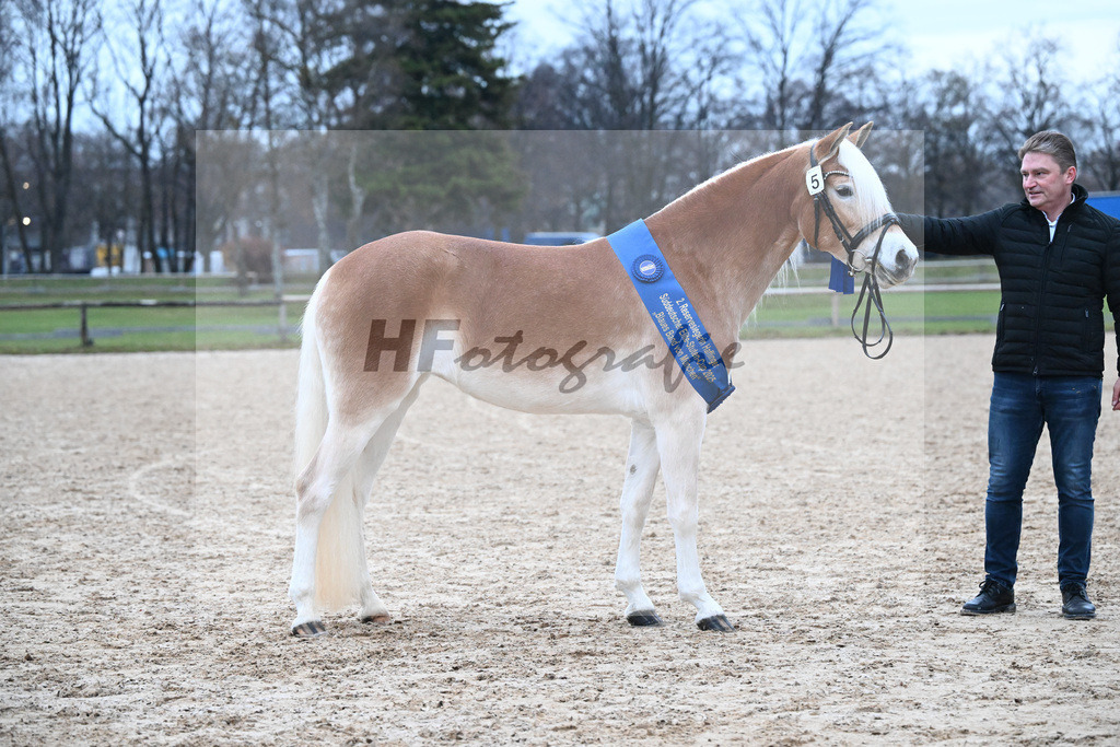 Bl. Band Kat-Nr. 5 Lady Cool v. Wetterstein_Gossner_48251992 | hf-fotografie - Realisiert mit Pictrs.com