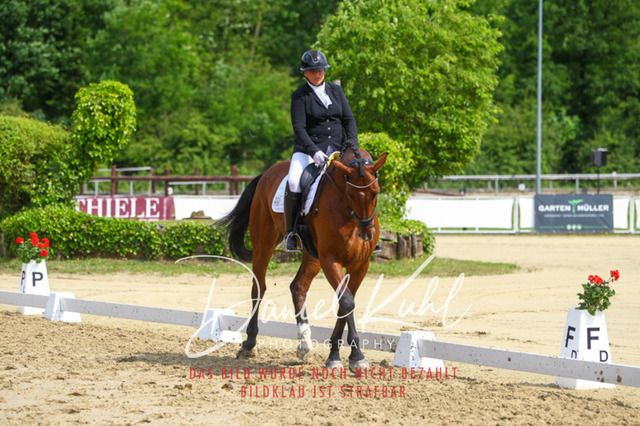 DKP45799 | Turniersportfotografie; Pferdefotografie; Dressurfotografie