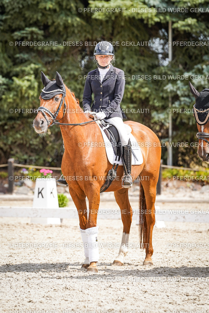 DSC02227 | Pferdegrafie