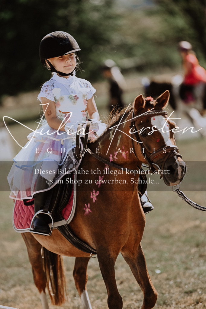 DSC_9137 | Pferde- und Turnierfotografie in Westsachsen. Pferdeportraits, Auftragszeichnungen und intuitive Kunst.