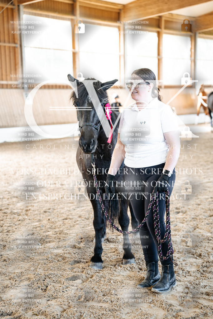CK703185 | Turnierfotografie Pferdefotografie Trier Rheinland-Pfalz Pferdesport Reitsport Tierfotografie Sportfotografie Pferdevideo Pferdevideografie Equestrianvideography equestrianphotography  - Realized with Pictrs.com