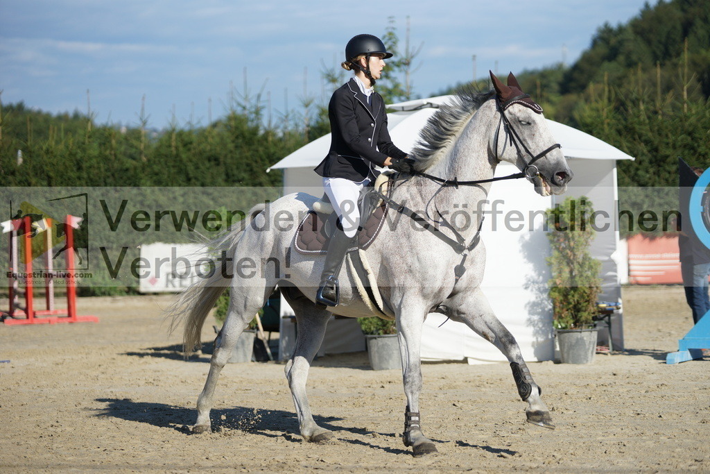 DSC09531 | equestrian-live-com