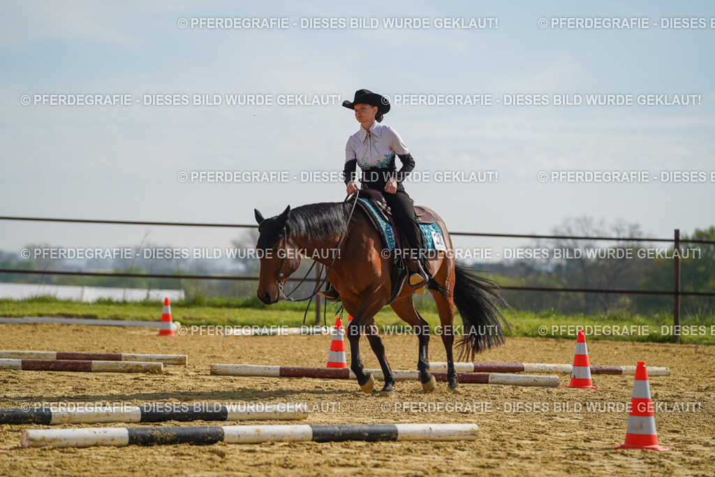 DSC01265 | Pferdegrafie