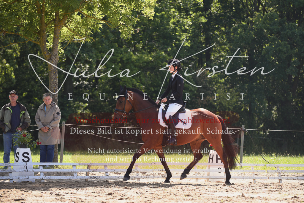 DSC_0476 | Pferde- und Turnierfotografie in Westsachsen. Pferdeportraits, Auftragszeichnungen und intuitive Kunst.