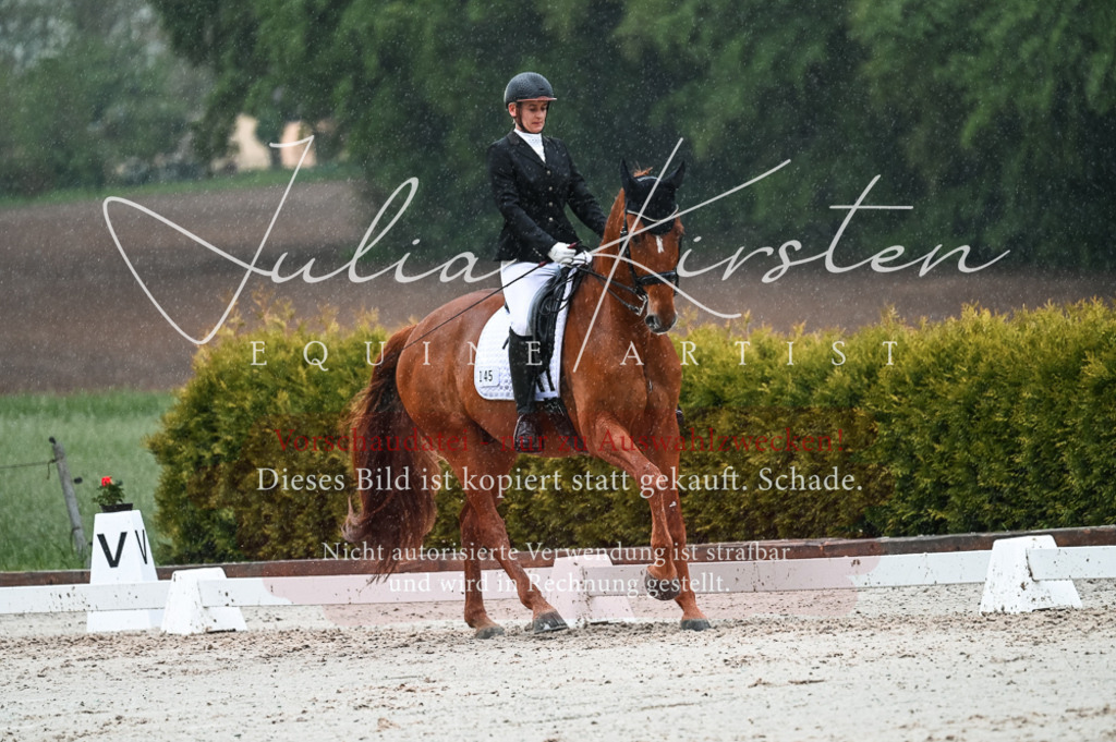 DSC_4438 | Pferde- und Turnierfotografie in Westsachsen. Pferdeportraits, Auftragszeichnungen und intuitive Kunst.