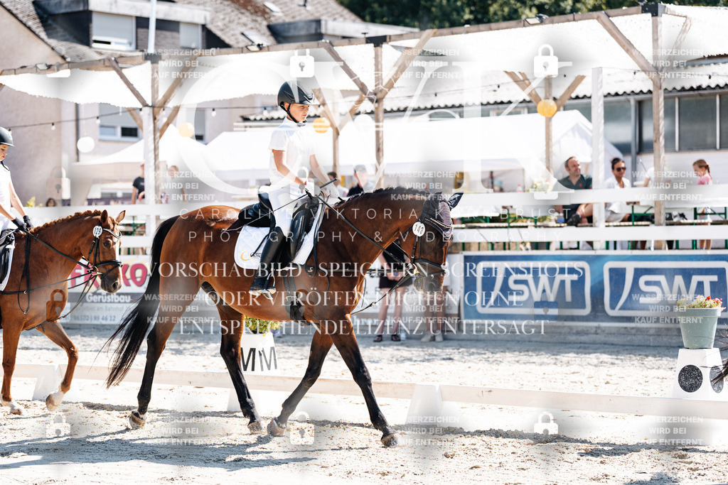 CK902401 | Turnierfotografie Pferdefotografie Trier Rheinland-Pfalz Pferdesport Reitsport Tierfotografie Sportfotografie Pferdevideo Pferdevideografie Equestrianvideography equestrianphotography  - Realisiert mit Pictrs.com