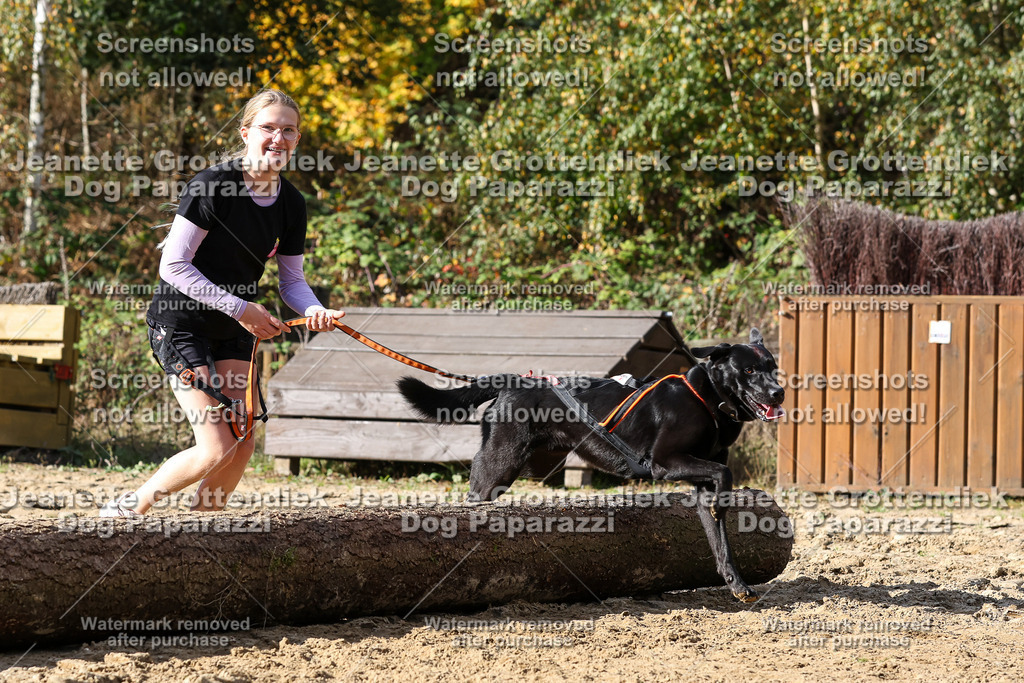 Dog Paparazzi - Strongdog 10-25-4929 | Dog Paparazzi Jeanette Grottendiek Fotografie & Videografie - Realisiert mit Pictrs.com
