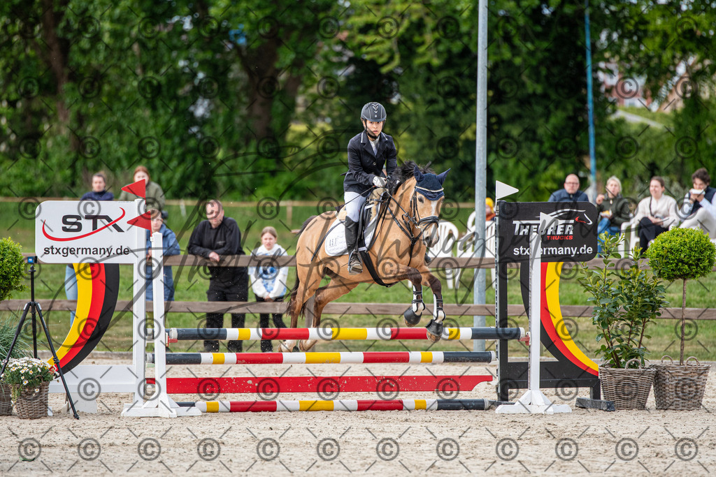 KPT_6910 | andre_photographic