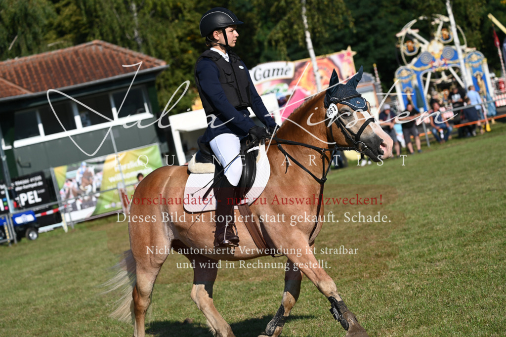 DSC_4828 | Pferde- und Turnierfotografie in Westsachsen. Pferdeportraits, Auftragszeichnungen und intuitive Kunst.