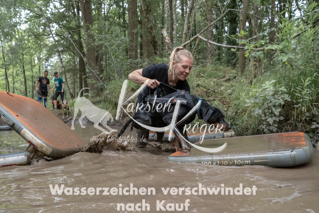 1319_ZZ93268 | kk-dogfotos