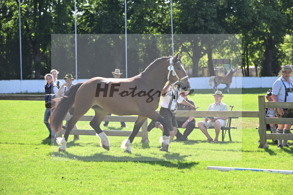 Kat-Nr. 7 Patrizia v. Spitzingsee_Holl_18250099 | hf-fotografie - Realizzato con Pictrs.com