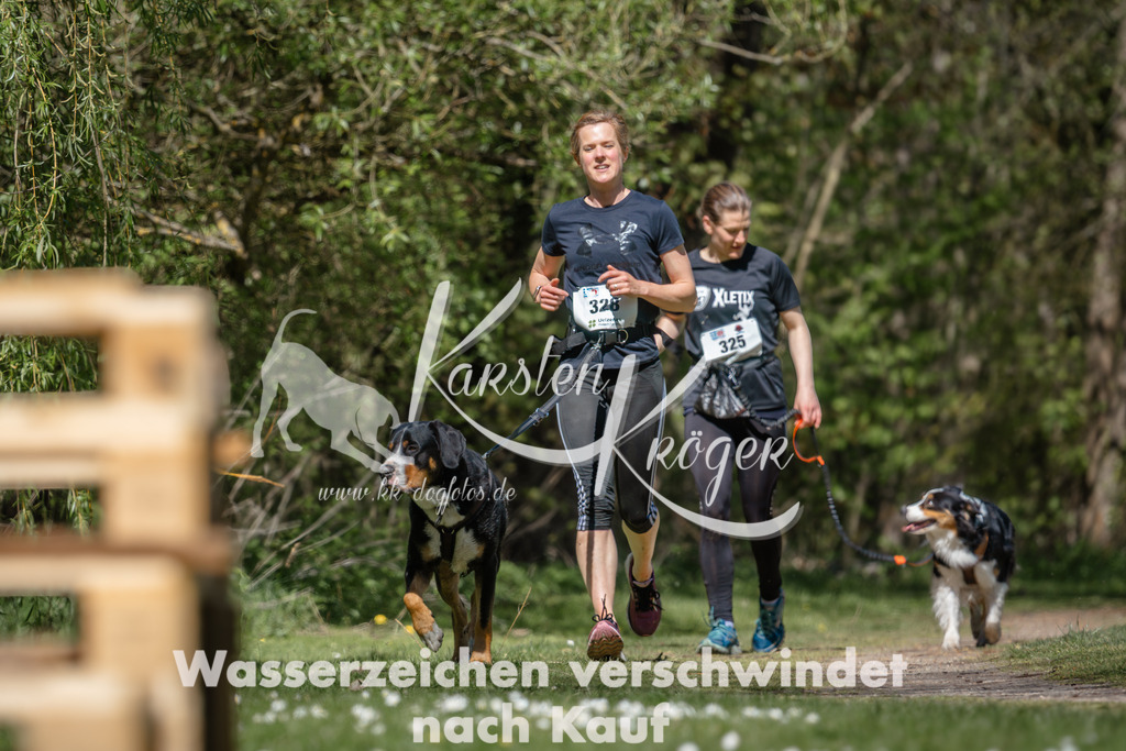 1253DZ6_5136 | kk-dogfotos
