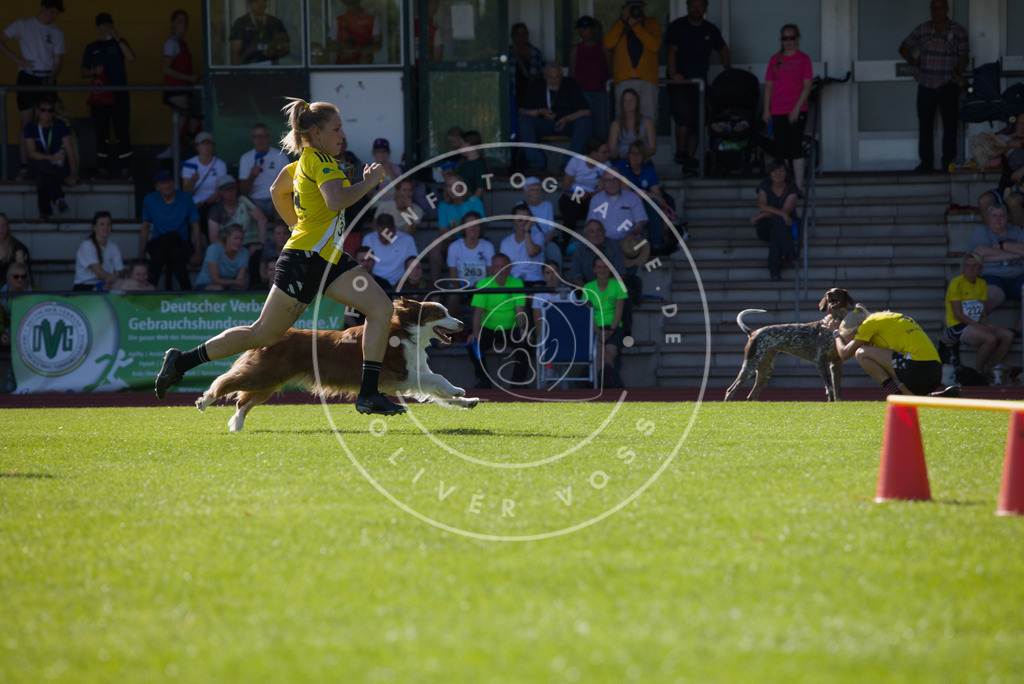 0L8A8485 | Hundefotografie, Tierfotograf, Pfotenfotografie, Fotoshooting Hund, Hunde Portrait, Hundesport, Hundeportraits, Heideshooting, Hunde, Sportfotograf, Hundefotograf, Turnierhundsport, THS,  - Realisiert mit Pictrs.com