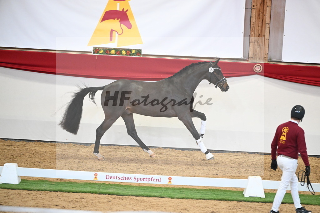 Kat.-Nr. 51 v. Donkey Boy_Lenzen_2250215 | hf-fotografie - Realisiert mit Pictrs.com